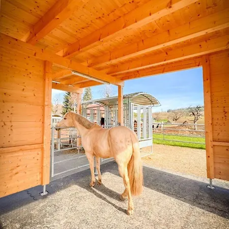펜션 Spycher Im Emmental By Interhome Lützelflüh