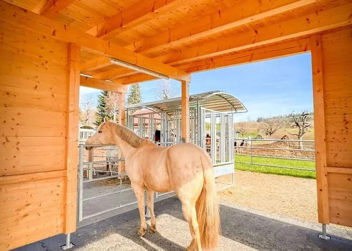 펜션 Spycher Im Emmental By Interhome Lützelflüh